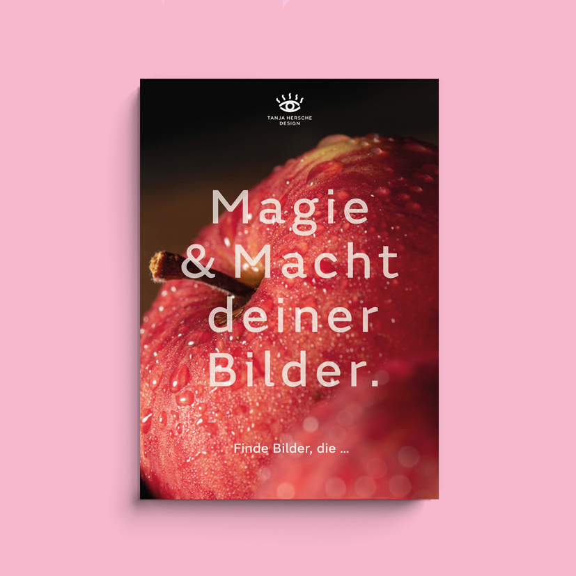 tanjahersche-designbuch-magie-undd-macht-deiner-bilder-620x827